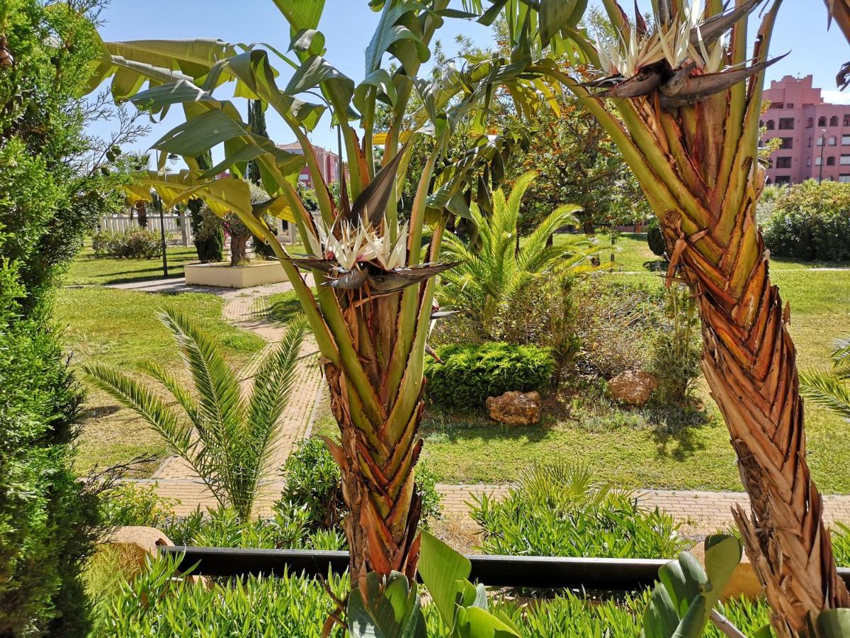 Jardines De Isla Canela, Planta Baja. ภายนอก รูปภาพ